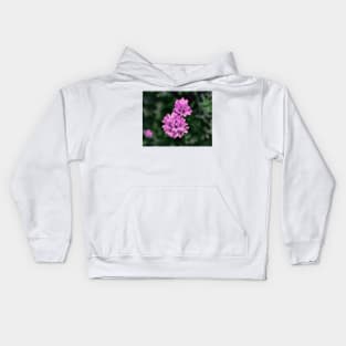 Delicate Pink Flowers Kids Hoodie